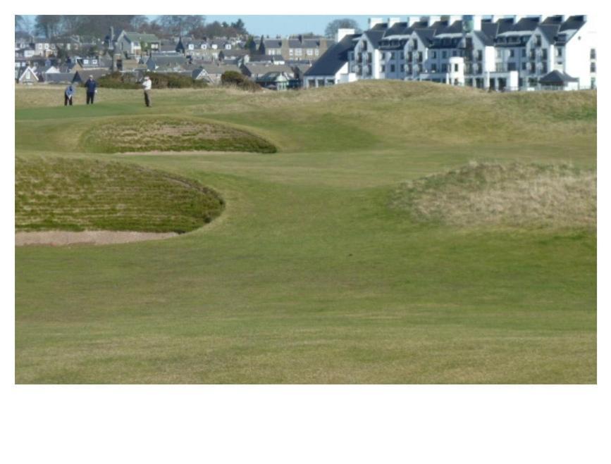 Park House Carnoustie Exterior foto